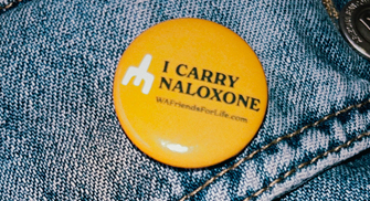 Picture of a button from the Friends For Life campaign.