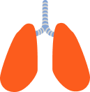 Illustration of lungs.